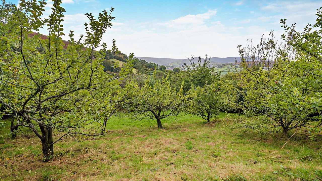 Photo of Outdoor in Cwmdu