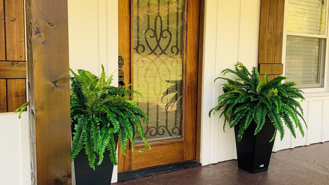 Photo of Outdoor in Travelers Rest