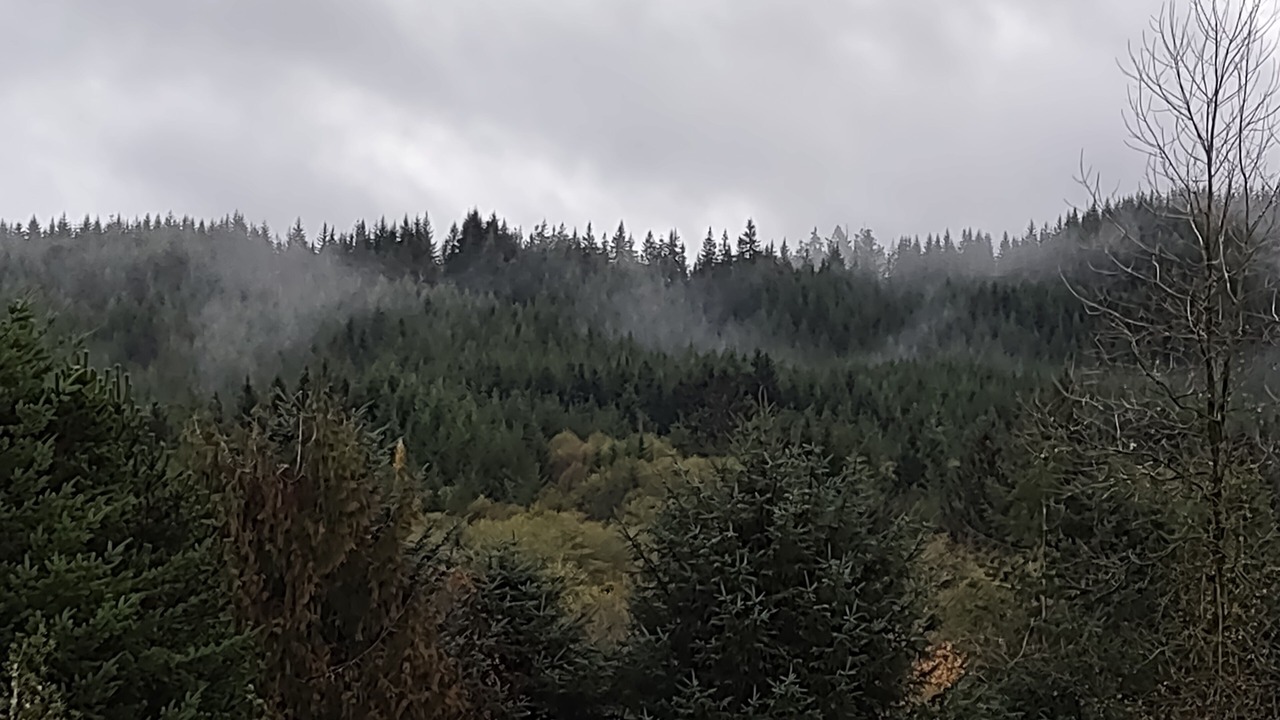 Photo of Others in Otis