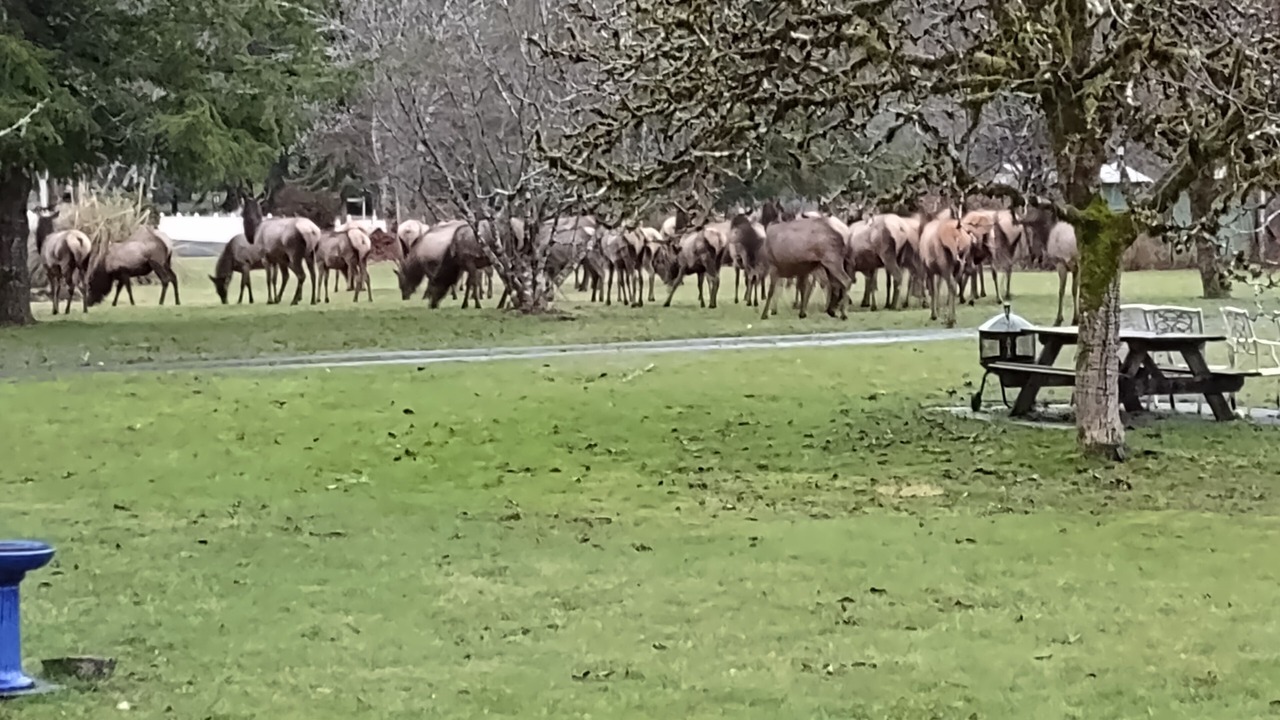 Photo of Others in Otis