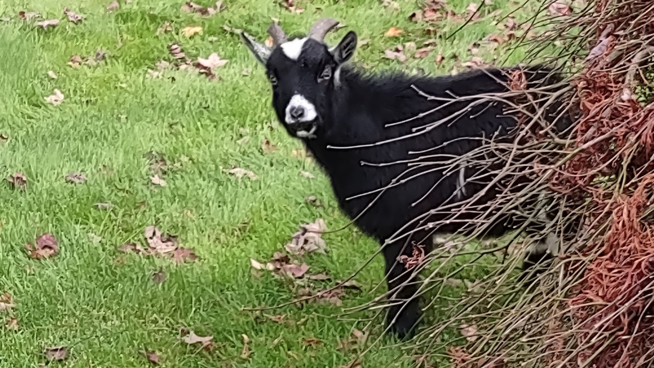 Photo of Others in Otis