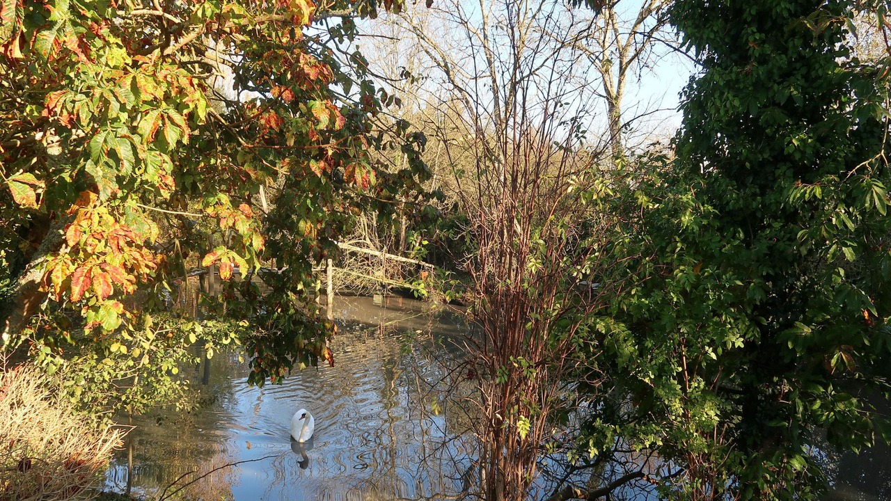 Photo of Outdoor in Saint-Lo-d'Ourville
