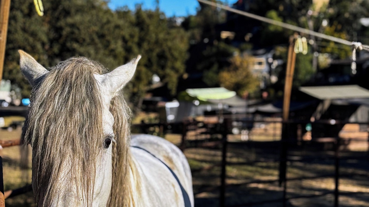 Photo of Others in Agoura Hills