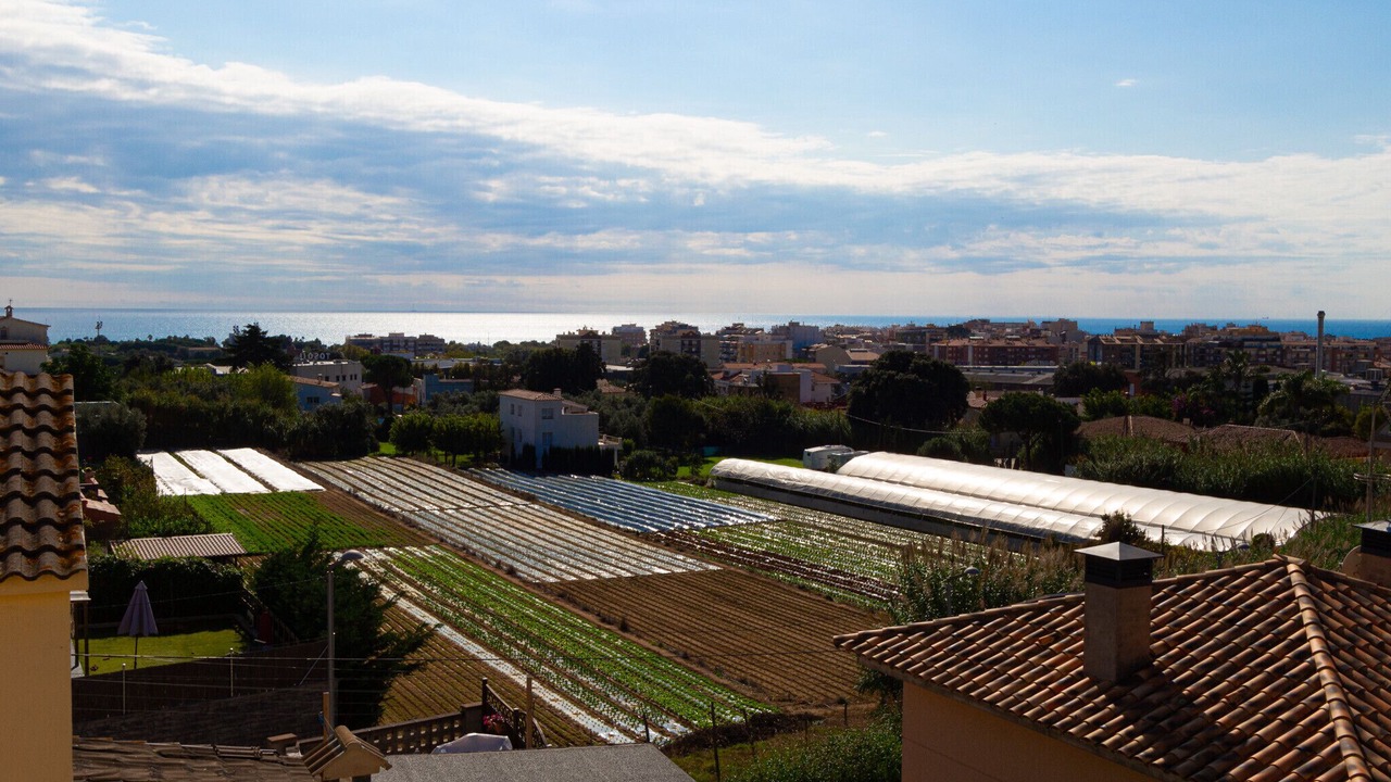 Photo of Others in Pineda de Mar
