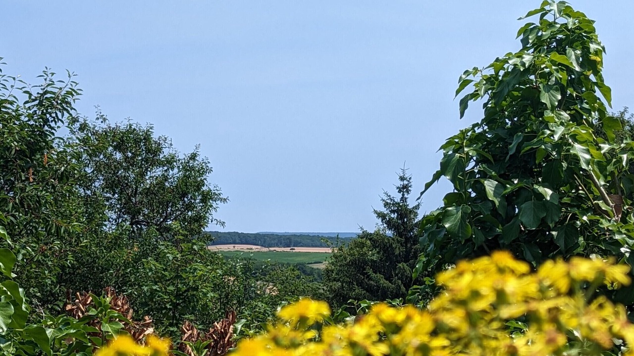 Photo of Others in La Roche-Morey