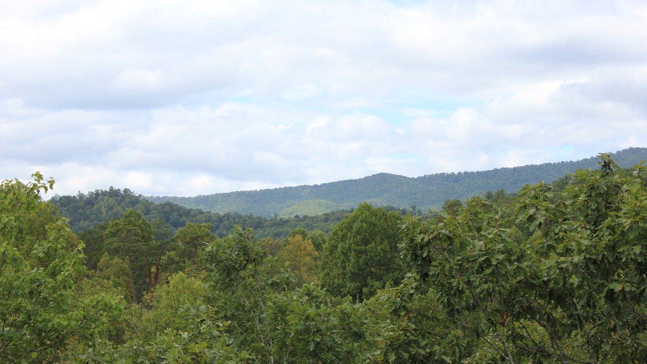 Photo of Others in Hayesville