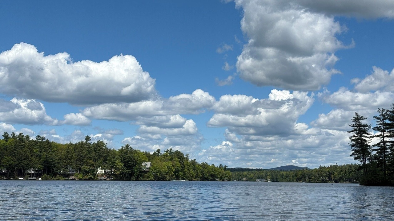 Photo of Others in Rindge