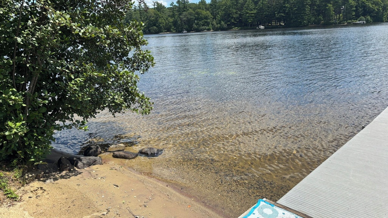 Photo of Others in Rindge