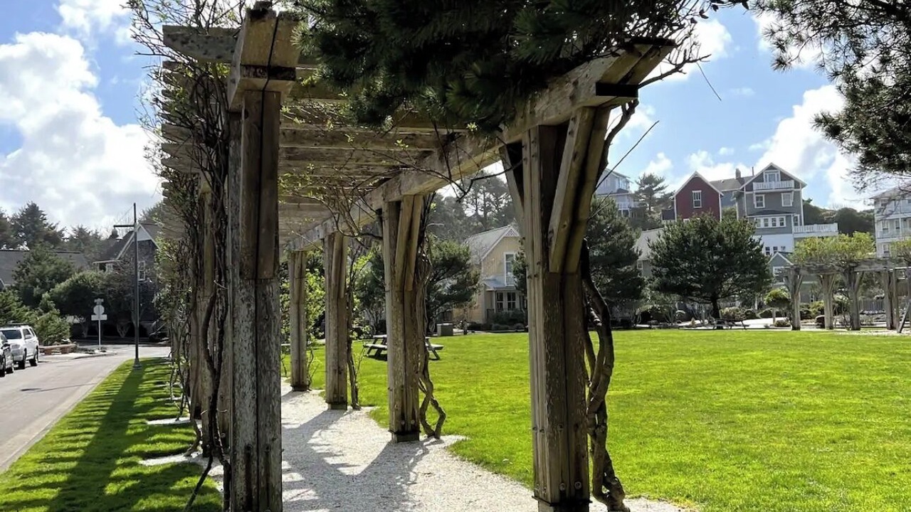 Photo of Outdoor in Nelscott