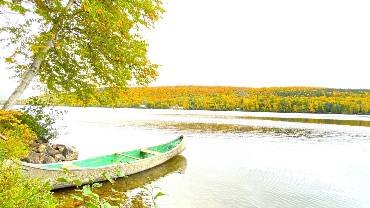 Photo of Others in Lac-Saint-Paul