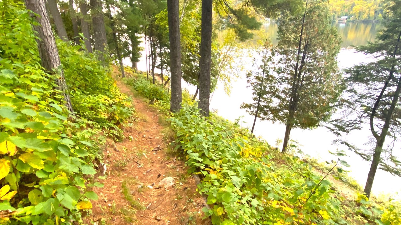 Photo of Others in Lac-Saint-Paul