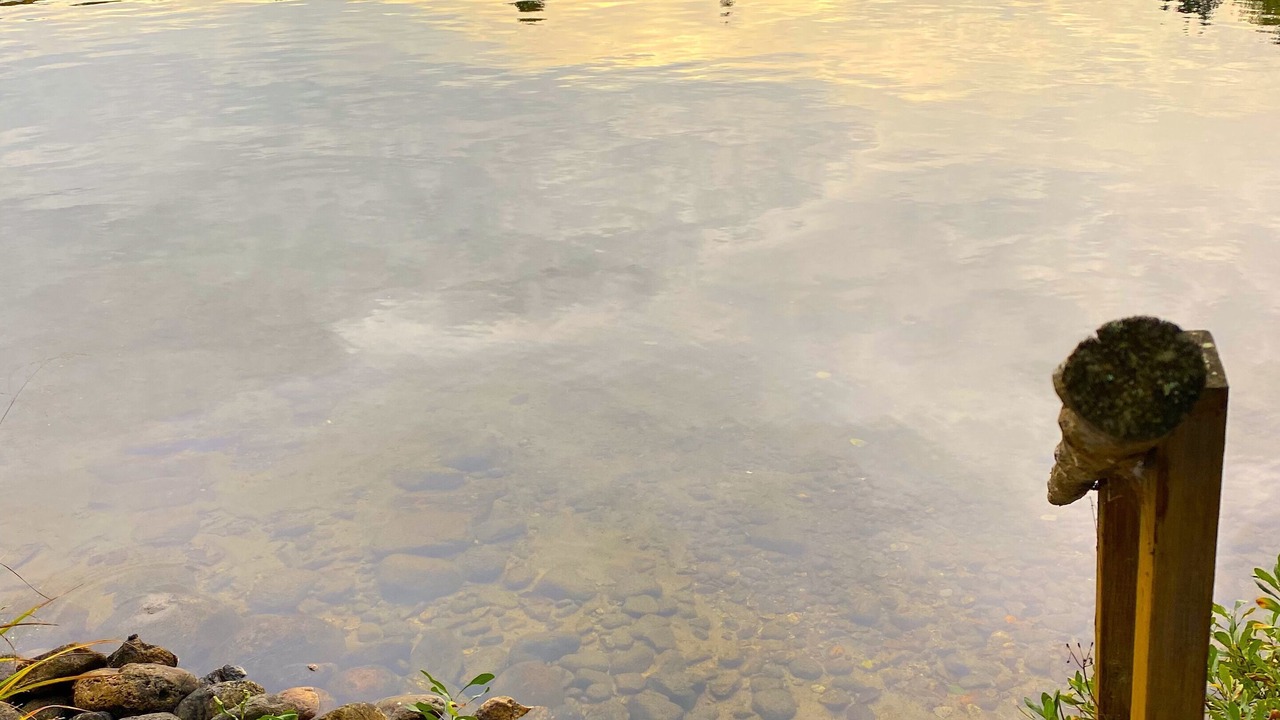 Photo of Others in Lac-Saint-Paul