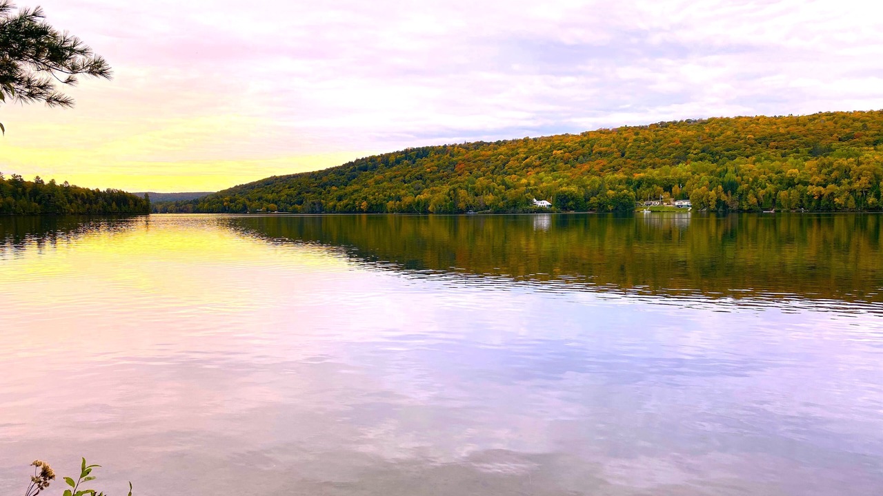 Photo of Others in Lac-Saint-Paul