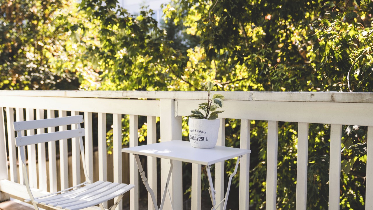 Photo of Outdoor in Belmont