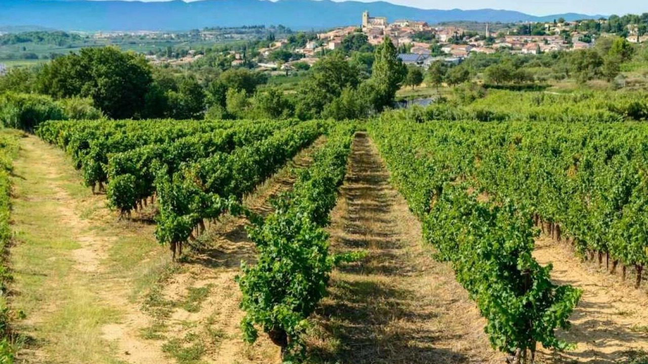 Photo of Others in Litteau