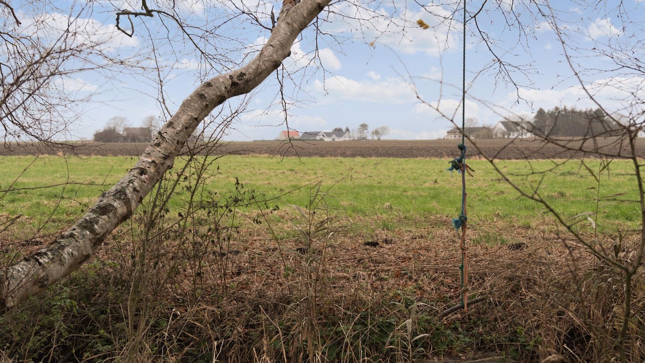 Photo of Others in Venemose