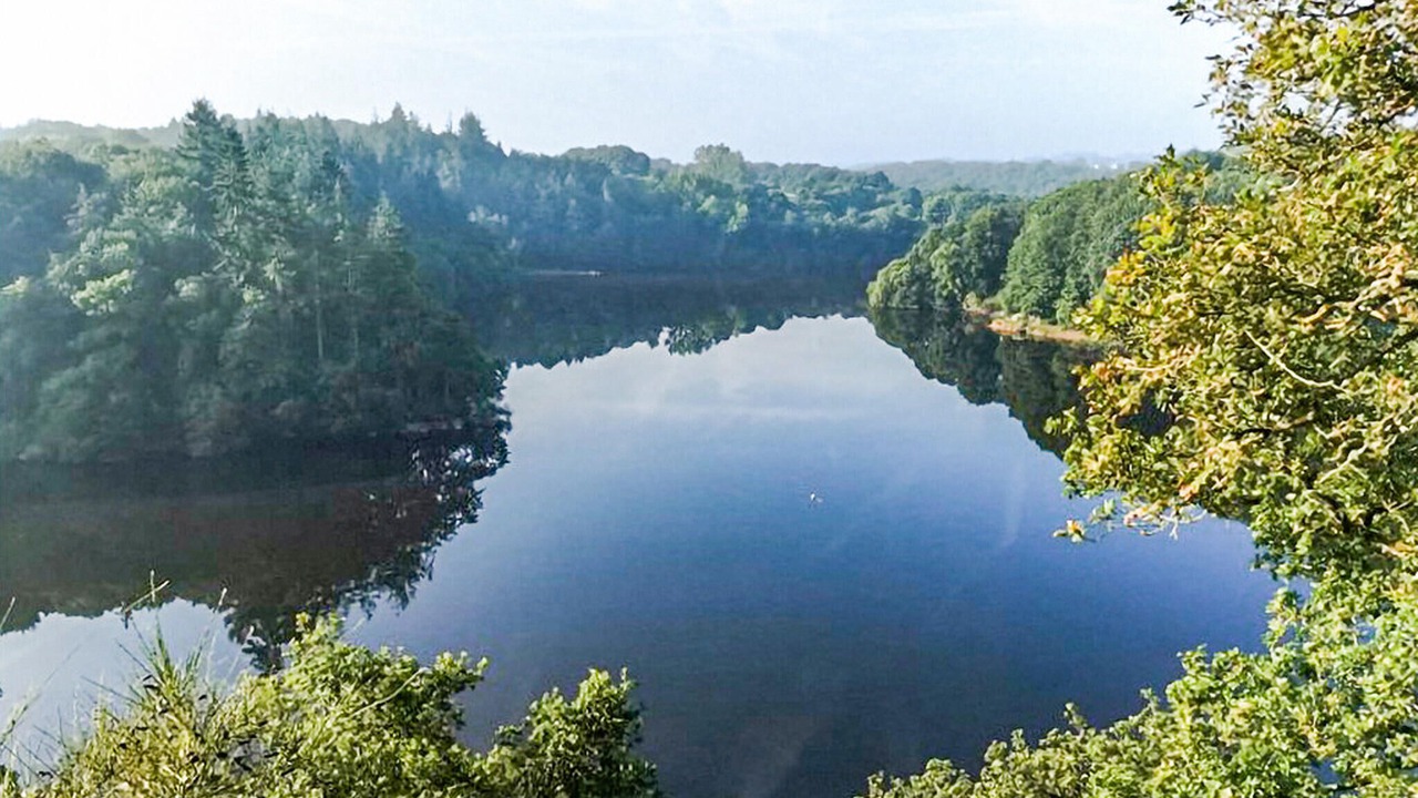 Photo of Others in Ploumagoar