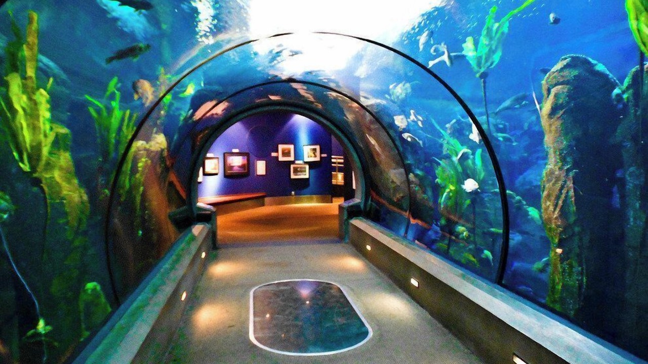 Photo of Others in Historic Bayfront