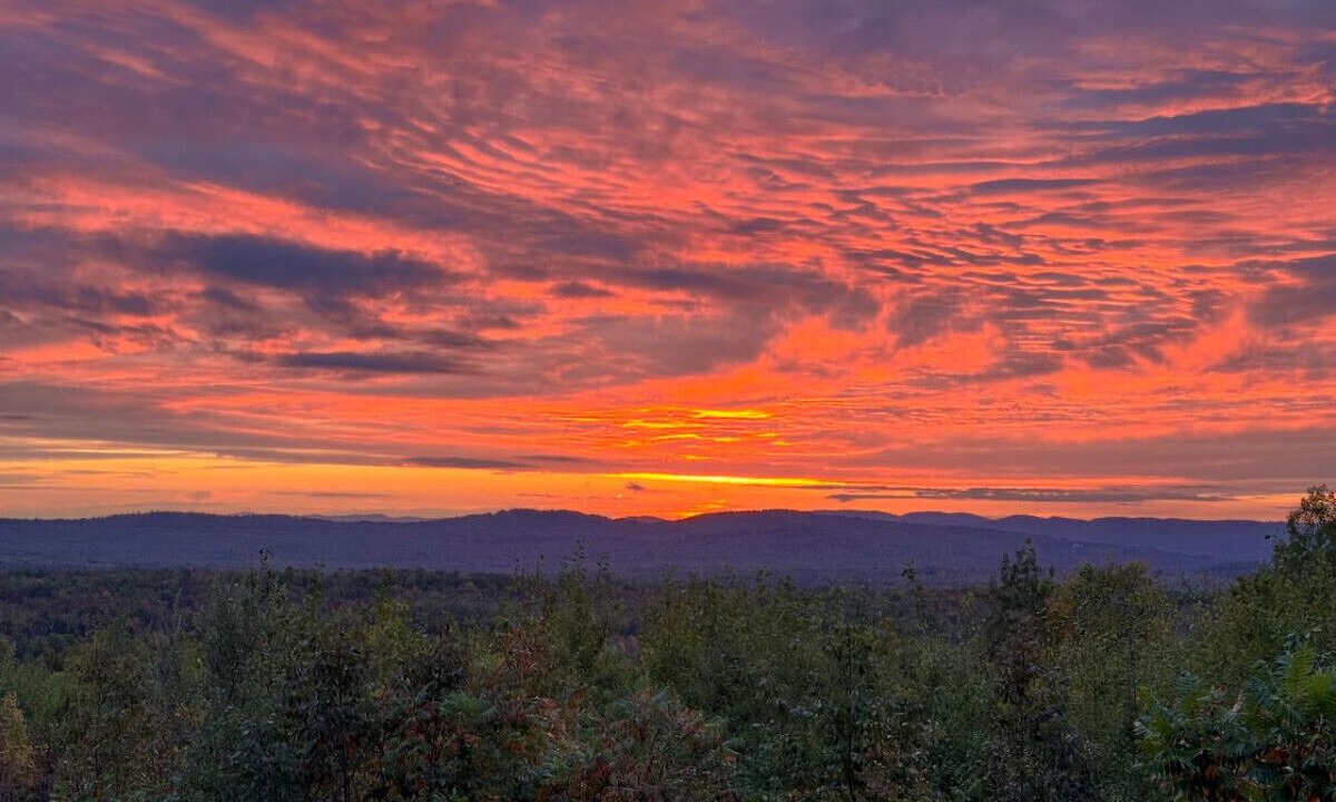 Photo of Others in Carroll