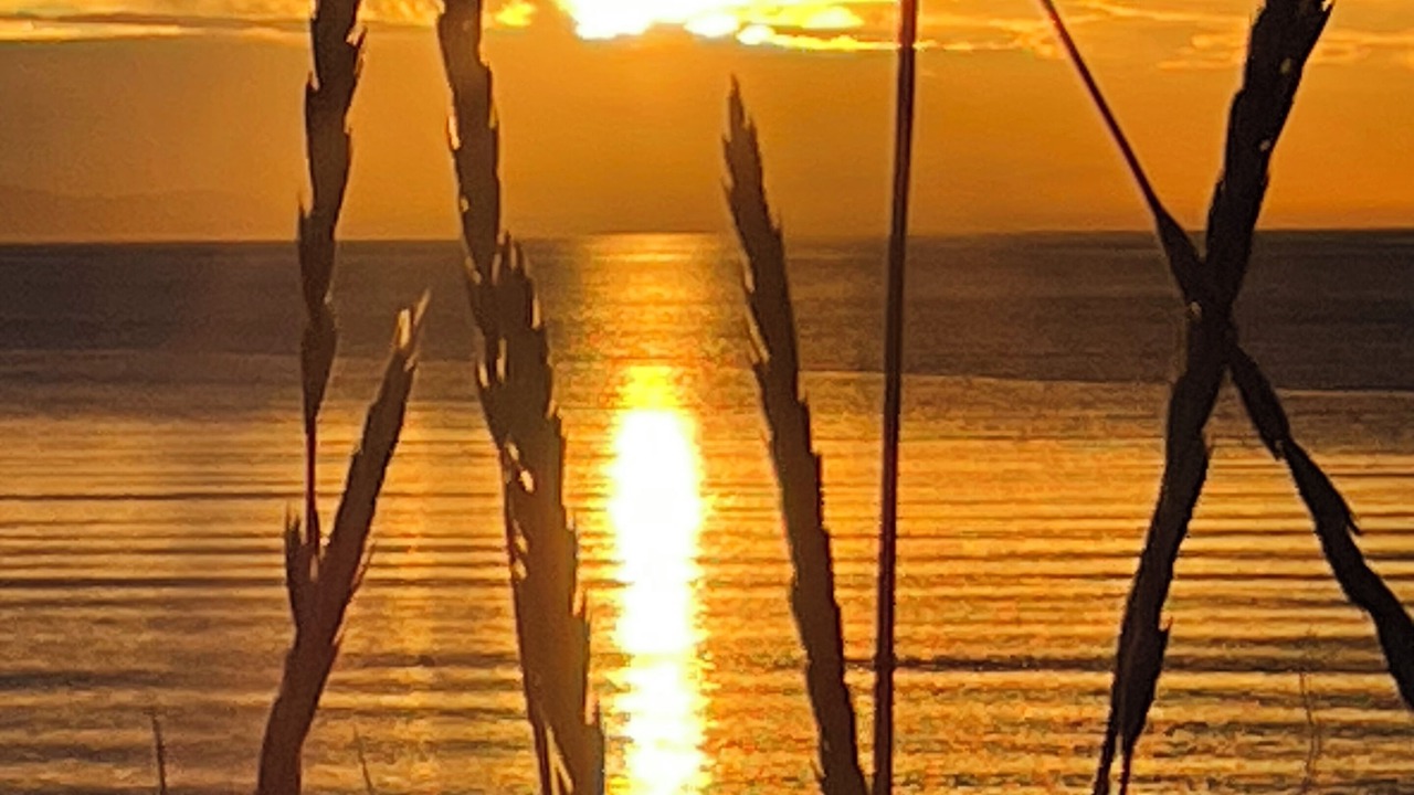 Photo of Others in Birch Bay