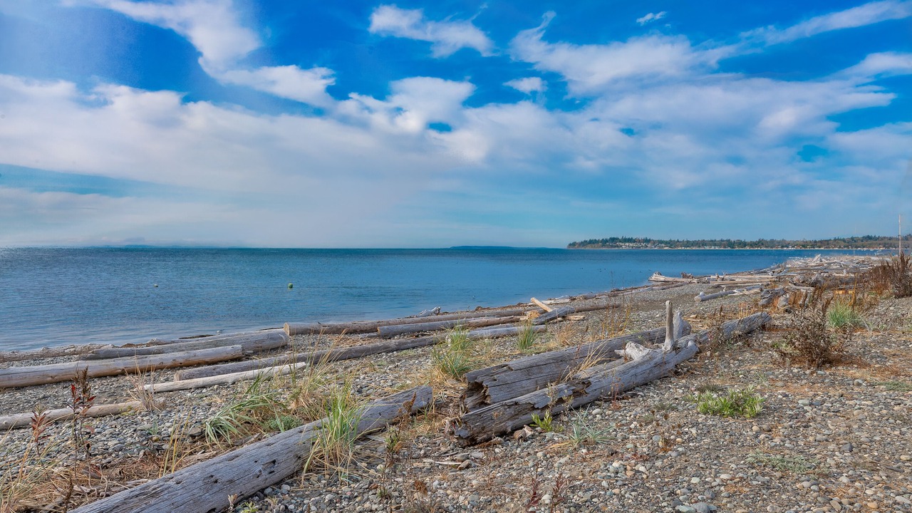 Photo of Others in Birch Bay