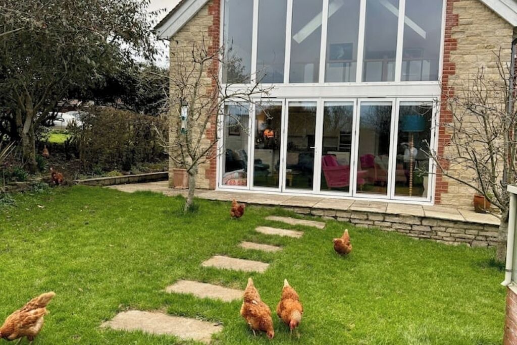 Photo of Outdoor in West Knoyle