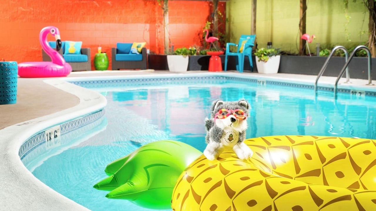 Photo of Outdoor in University District