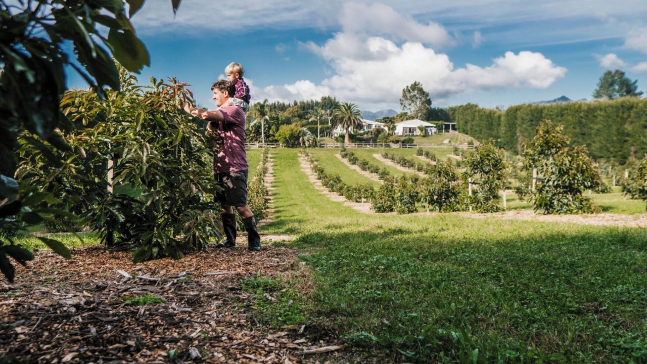 Photo of Outdoor in Katikati