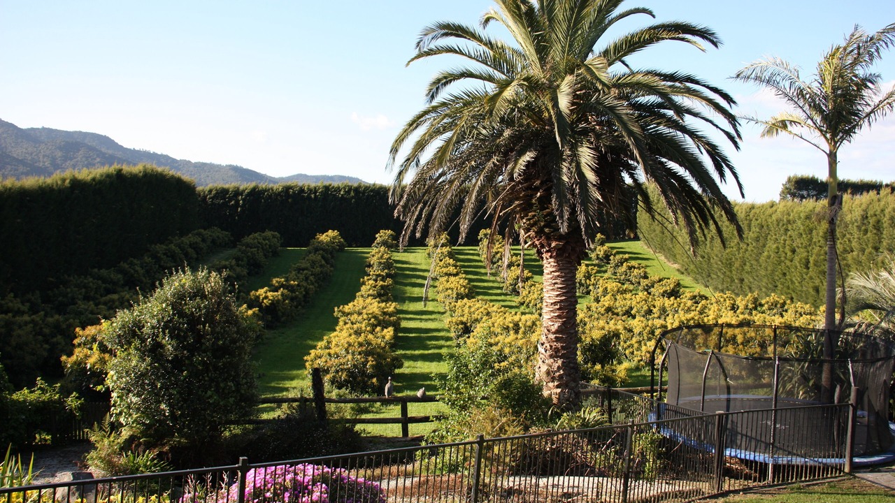 Photo of Outdoor in Katikati