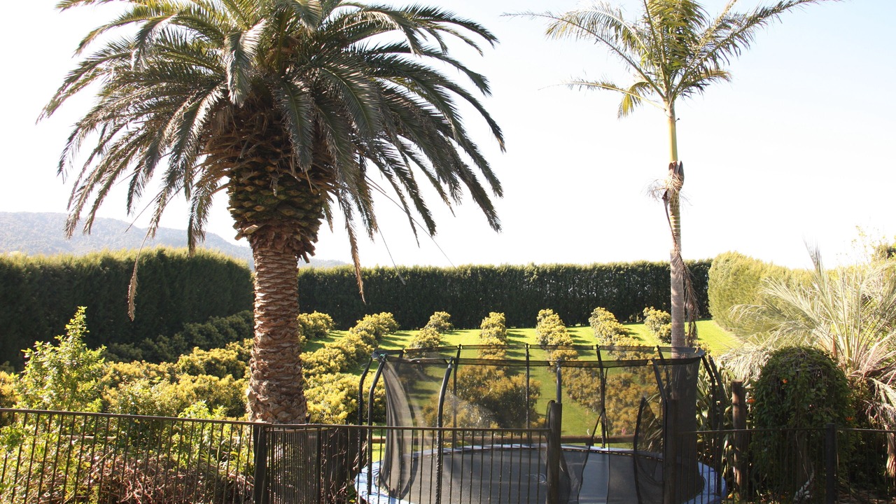 Photo of Outdoor in Katikati