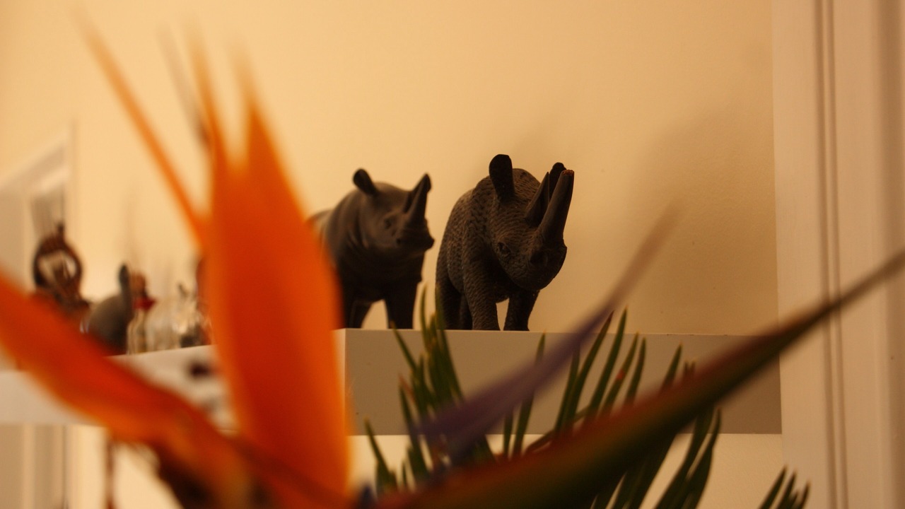 Photo of Others in Katikati