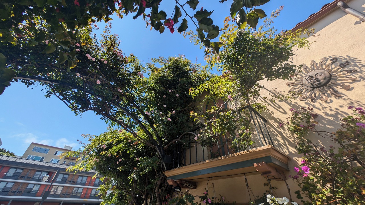 Photo of Outdoor in Marina District