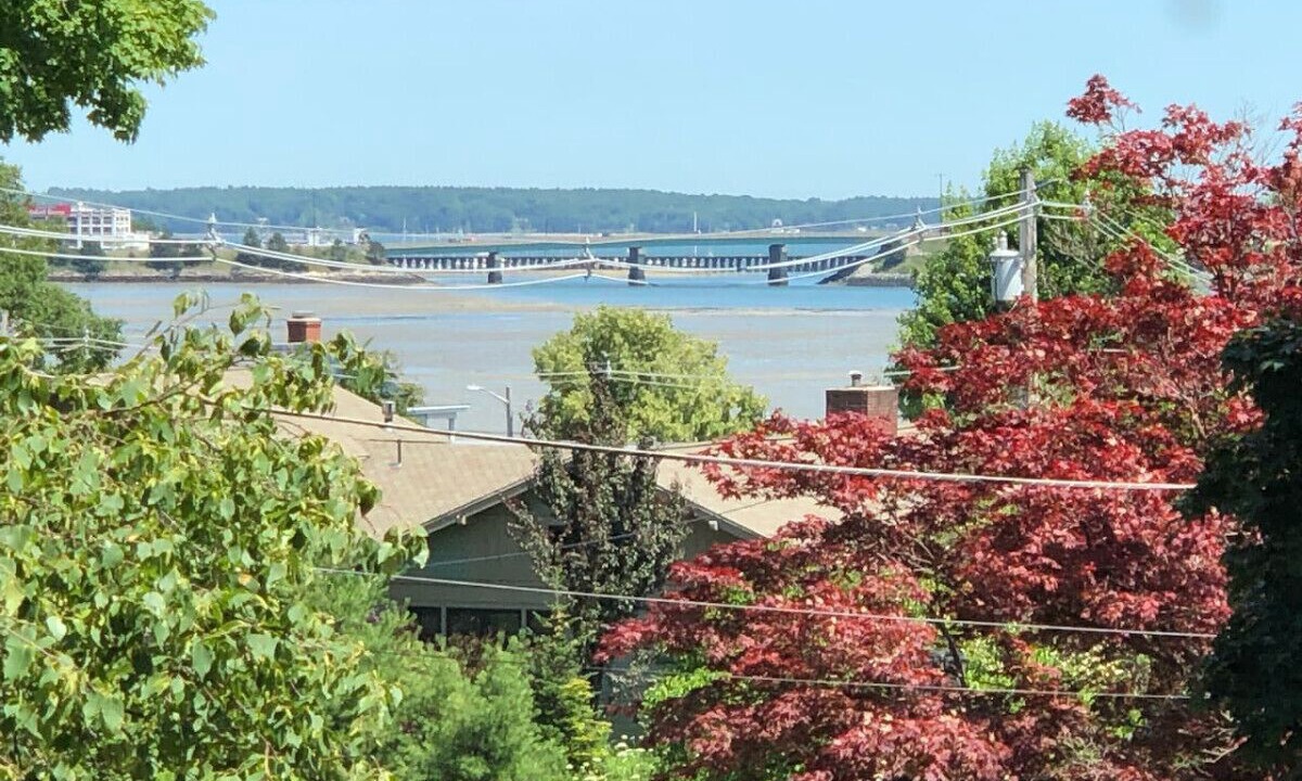 Photo of Others in Back Cove