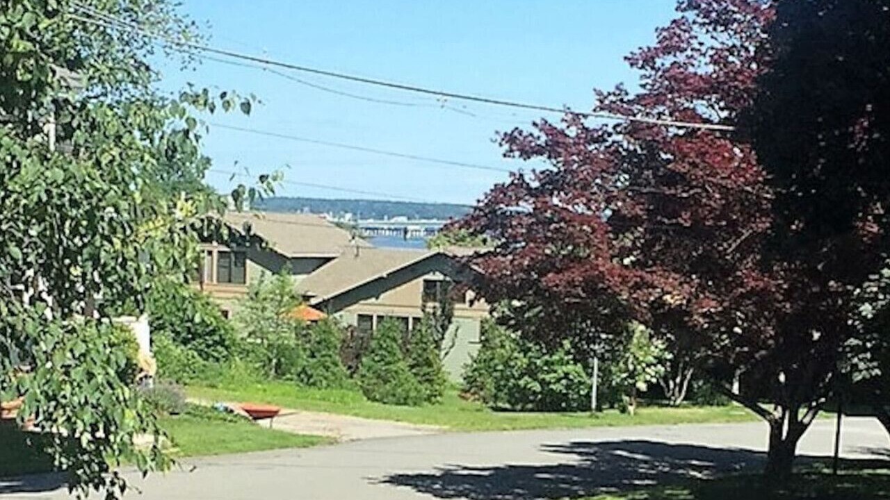 Photo of Others in Back Cove