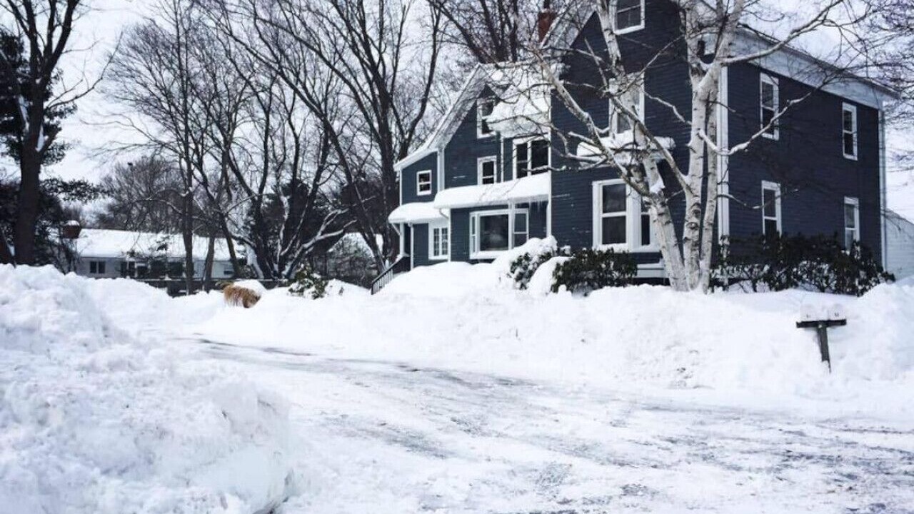 Photo of Outdoor in Back Cove