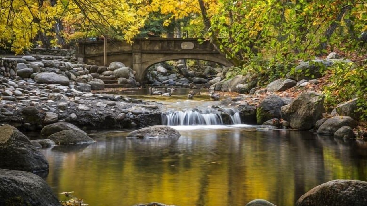 Photo of Others in Historic Railroad District