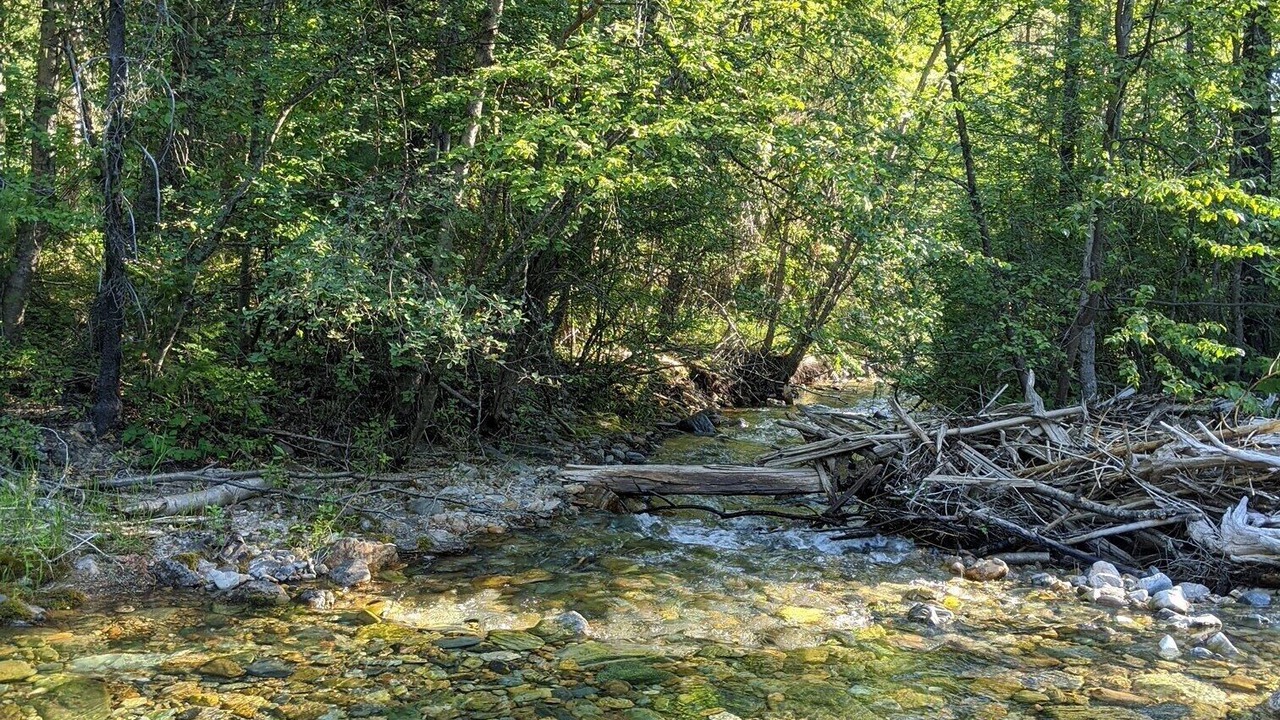 Photo of Others in Superior