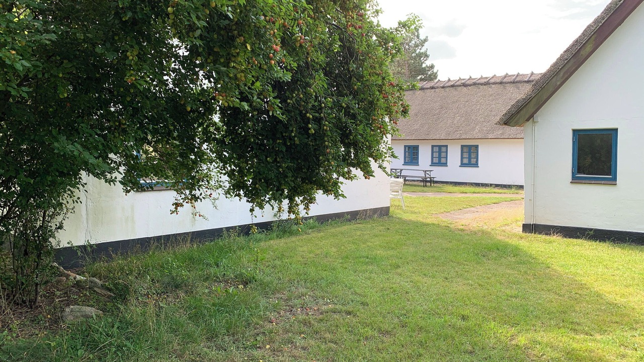 Photo of Others in Hoeve Strand