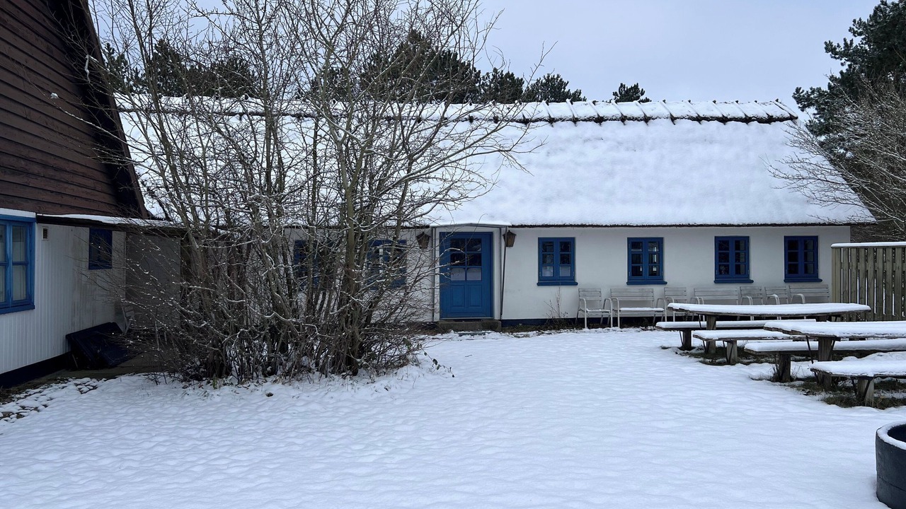 Photo of Others in Hoeve Strand