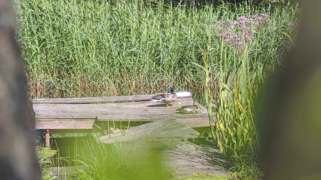 Photo of Others in Gilleleje