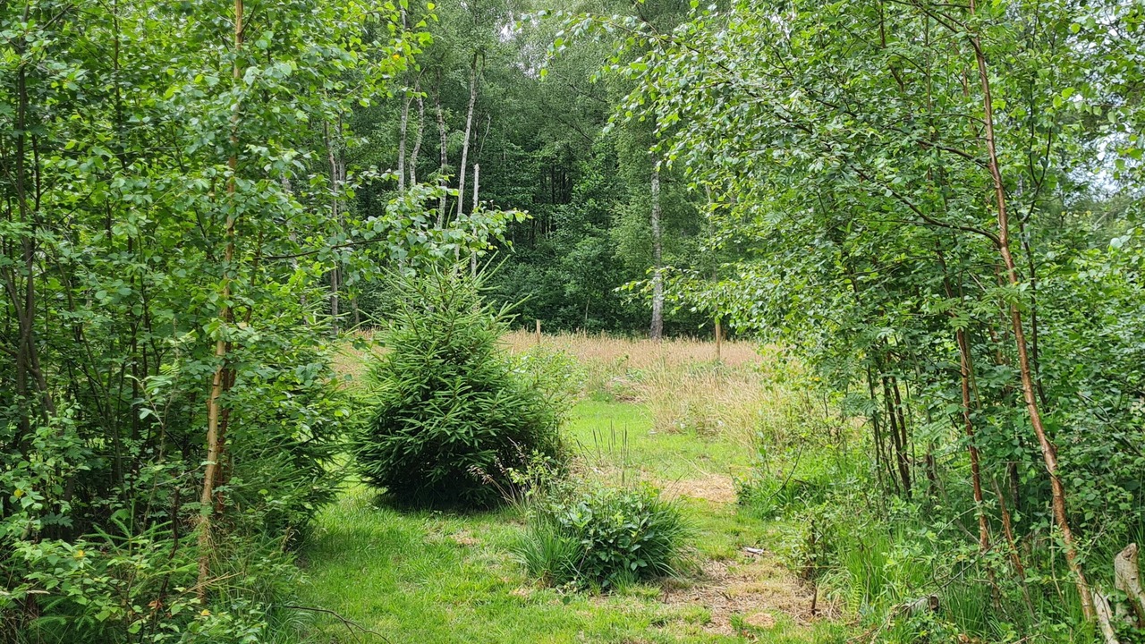 Photo of Others in Ramlose