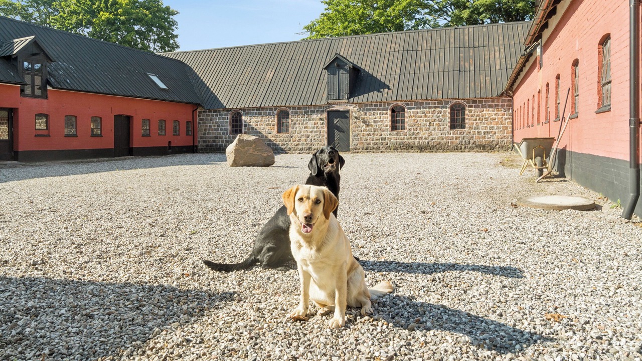 Photo of Others in Kolt Hasselager