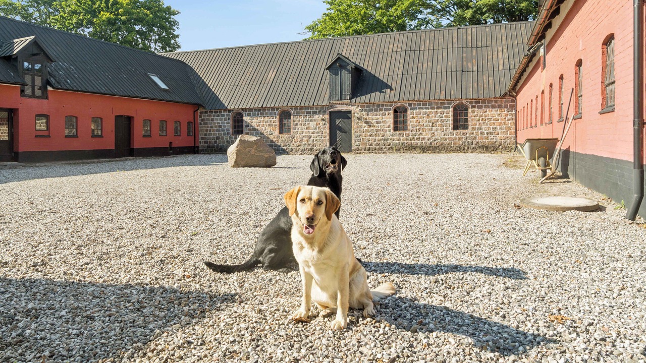 Photo of Others in Kolt Hasselager