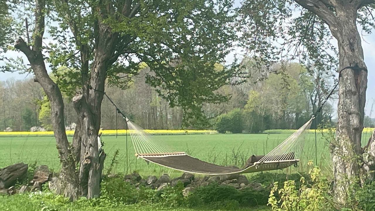 Photo of Others in Stokkemarke