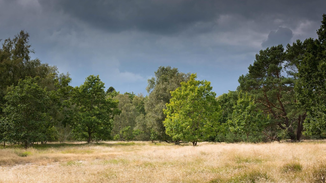 Photo of Others in Udsholt
