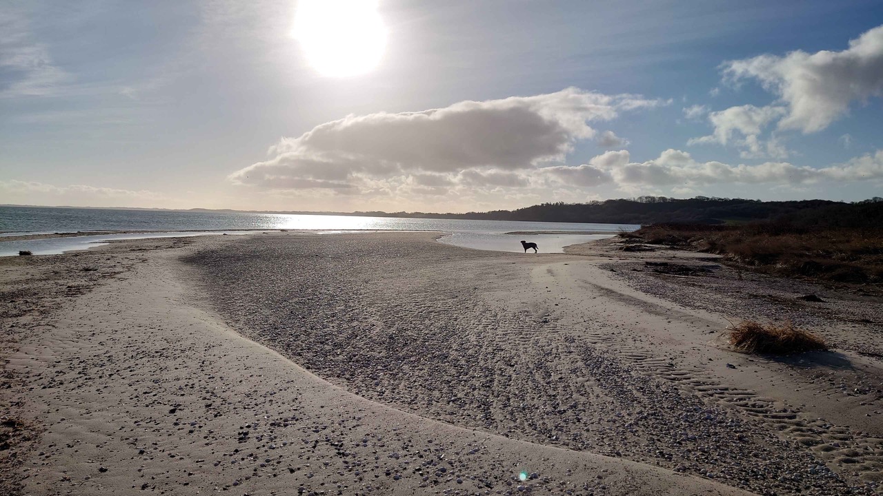 Photo of Others in Floutrup