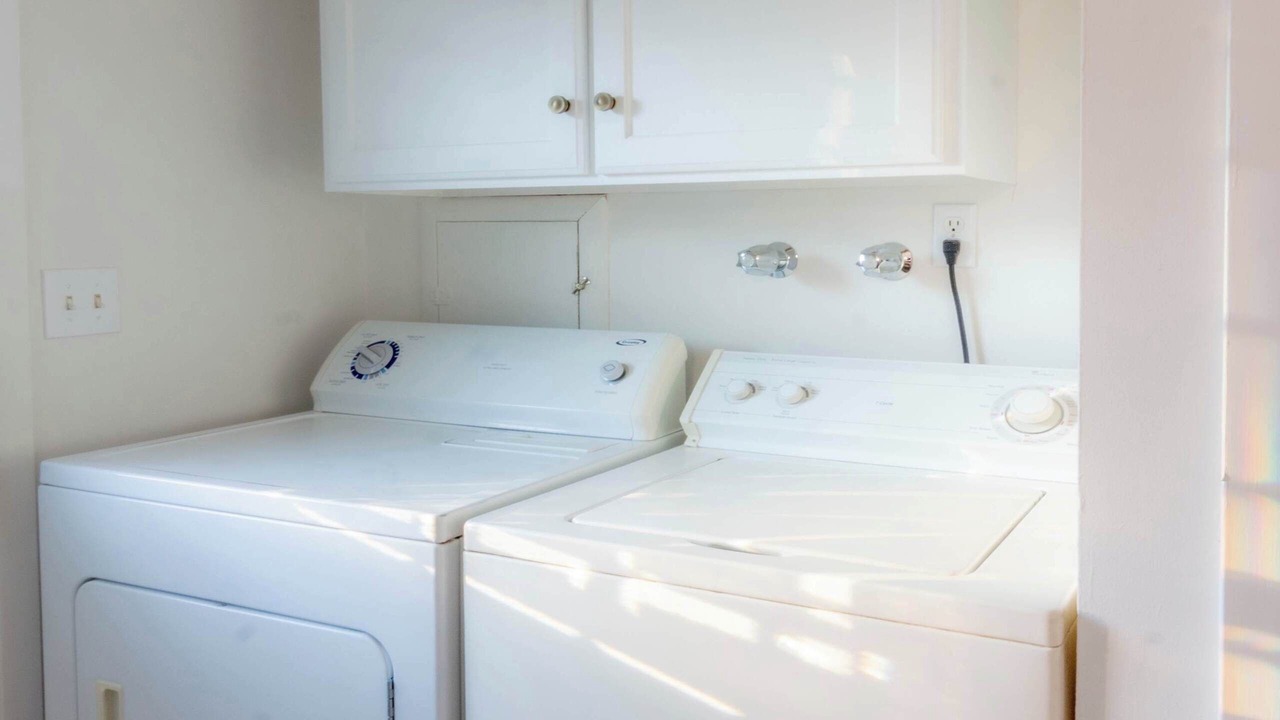 Photo of Others in Salmon