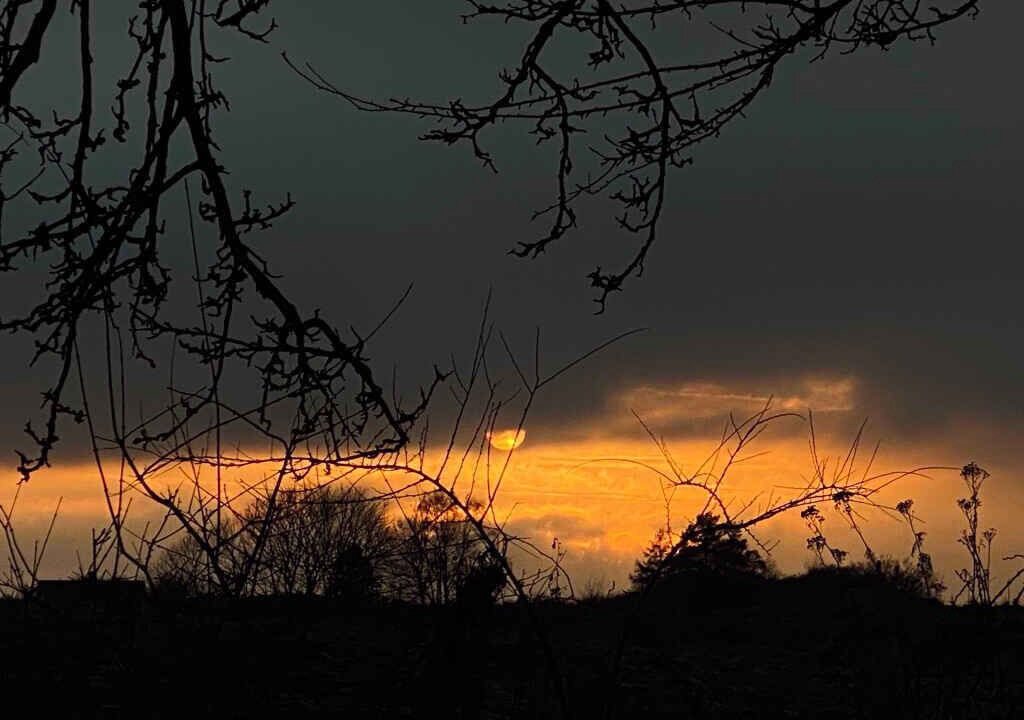 Photo of Others in Borre