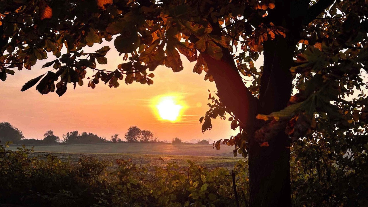 Photo of Others in Borre