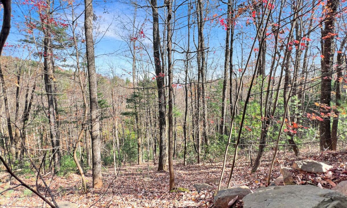 Photo of Others in Millers Creek